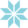 Logo Intronic